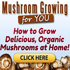 Mushroom Growing 4 You - Discover How to Grow Delicious Organic Mushrooms